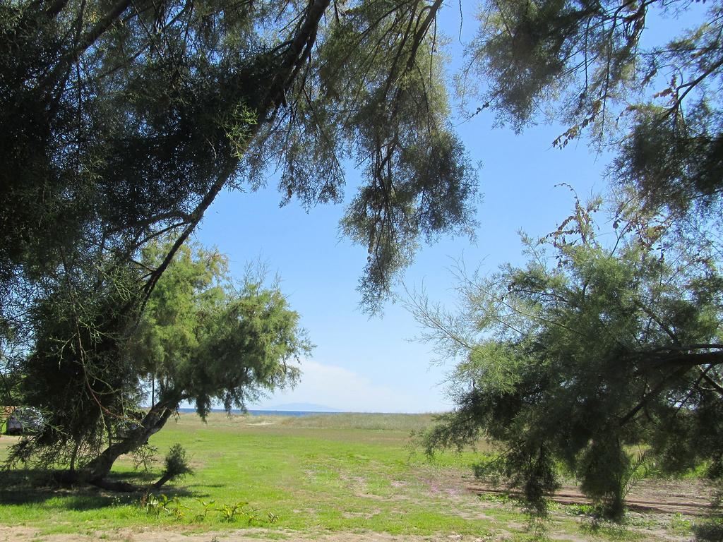 Camping Miami Plage Hotell Poggio Mezzana Eksteriør bilde